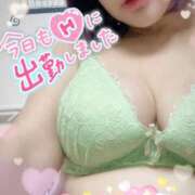 ヒメ日記 2026/04/03 15:00 投稿 あやな 人妻熟女奉仕倶楽部