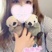 ヒメ日記 2025/08/23 17:57 投稿 あまね 白いぽっちゃりさん錦糸町店