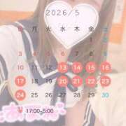 ヒメ日記 2026/05/07 12:37 投稿 あまね 白いぽっちゃりさん錦糸町店