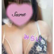 ヒメ日記 2025/04/17 14:30 投稿 みらい ぷにぷにプリンセス