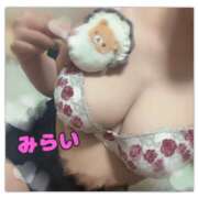 ヒメ日記 2025/07/13 11:58 投稿 みらい ぷにぷにプリンセス