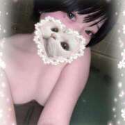 ヒメ日記 2025/01/01 03:09 投稿 せりな（キス魔×美巨乳美少女！ ハニービー（Honey Bee）