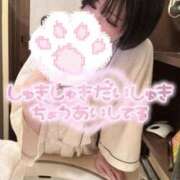 ヒメ日記 2025/01/06 01:19 投稿 せりな（キス魔×美巨乳美少女！ ハニービー（Honey Bee）