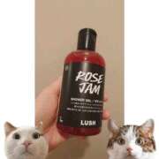 ヒメ日記 2024/12/19 17:55 投稿 ふみ 谷町人妻ゴールデン倶楽部