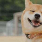 ヒメ日記 2024/12/31 16:25 投稿 ふみ 谷町人妻ゴールデン倶楽部