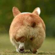 ヒメ日記 2025/01/18 07:10 投稿 ふみ 谷町人妻ゴールデン倶楽部