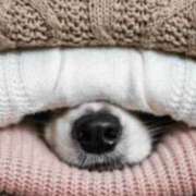 ヒメ日記 2025/01/28 18:30 投稿 ふみ 谷町人妻ゴールデン倶楽部