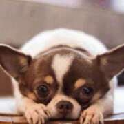 ヒメ日記 2025/01/29 17:05 投稿 ふみ 谷町人妻ゴールデン倶楽部