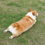 ヒメ日記 2025/02/20 17:50 投稿 ふみ 谷町人妻ゴールデン倶楽部