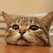 ヒメ日記 2025/03/18 08:30 投稿 ふみ 谷町人妻ゴールデン倶楽部