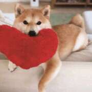 ヒメ日記 2025/06/09 06:25 投稿 ふみ 谷町人妻ゴールデン倶楽部