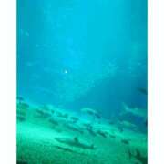 ヒメ日記 2025/06/17 07:05 投稿 ふみ 谷町人妻ゴールデン倶楽部