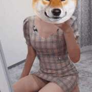 ヒメ日記 2025/06/20 08:40 投稿 ふみ 谷町人妻ゴールデン倶楽部