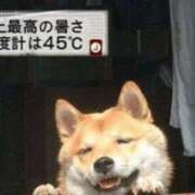 ヒメ日記 2025/07/08 14:10 投稿 ふみ 谷町人妻ゴールデン倶楽部