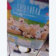ヒメ日記 2025/07/17 19:55 投稿 ふみ 谷町人妻ゴールデン倶楽部