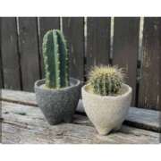 ヒメ日記 2025/07/30 09:20 投稿 ふみ 谷町人妻ゴールデン倶楽部