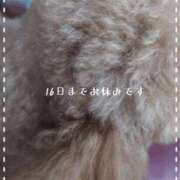 ヒメ日記 2025/08/10 00:40 投稿 ふみ 谷町人妻ゴールデン倶楽部