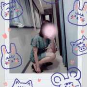 ヒメ日記 2025/12/21 09:55 投稿 ふみ 谷町人妻ゴールデン倶楽部