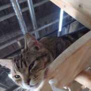 ヒメ日記 2025/12/23 10:50 投稿 ふみ 谷町人妻ゴールデン倶楽部