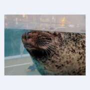 ヒメ日記 2025/12/29 21:30 投稿 ふみ 谷町人妻ゴールデン倶楽部