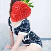 ヒメ日記 2026/01/17 09:00 投稿 ふみ 谷町人妻ゴールデン倶楽部