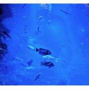 ヒメ日記 2026/01/20 09:00 投稿 ふみ 谷町人妻ゴールデン倶楽部