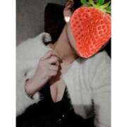 ヒメ日記 2026/01/24 10:50 投稿 ふみ 谷町人妻ゴールデン倶楽部