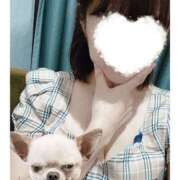 ヒメ日記 2026/03/15 09:35 投稿 ふみ 谷町人妻ゴールデン倶楽部