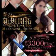 ヒメ日記 2026/04/03 06:05 投稿 ふみ 谷町人妻ゴールデン倶楽部