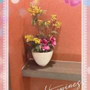 ヒメ日記 2025/11/22 06:52 投稿 弘中 渚 人妻セレブ宮殿