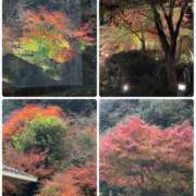 ヒメ日記 2025/11/30 19:38 投稿 弘中 渚 人妻セレブ宮殿