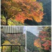 ヒメ日記 2025/12/02 07:24 投稿 弘中 渚 人妻セレブ宮殿