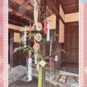 ヒメ日記 2026/07/07 07:19 投稿 弘中 渚 人妻セレブ宮殿