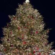 ヒメ日記 2024/12/28 12:54 投稿 一香(いちか) グランドオペラ横浜