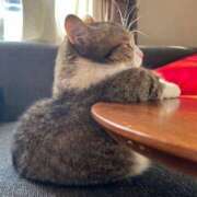 ヒメ日記 2025/01/28 17:04 投稿 一香(いちか) グランドオペラ横浜