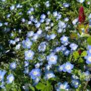 ヒメ日記 2025/03/10 12:25 投稿 一香(いちか) グランドオペラ横浜