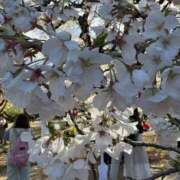 ヒメ日記 2025/04/09 17:37 投稿 一香(いちか) グランドオペラ横浜