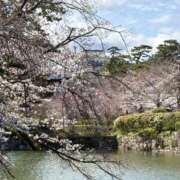 ヒメ日記 2025/04/10 08:50 投稿 一香(いちか) グランドオペラ横浜