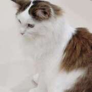 ヒメ日記 2025/04/05 12:18 投稿 まりも☆笑顔が素敵な素人♪ 五十路有閑マダム～沖縄店～