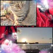 ヒメ日記 2025/04/29 18:03 投稿 まりも☆笑顔が素敵な素人♪ 五十路有閑マダム～沖縄店～