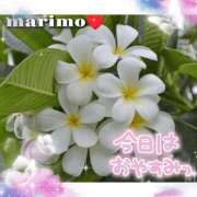 ヒメ日記 2025/06/25 10:33 投稿 まりも☆笑顔が素敵な素人♪ 五十路有閑マダム～沖縄店～