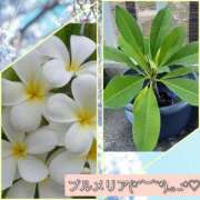 ヒメ日記 2025/10/15 16:54 投稿 まりも☆笑顔が素敵な素人♪ 五十路有閑マダム～沖縄店～