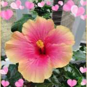 ヒメ日記 2025/11/07 12:03 投稿 まりも☆笑顔が素敵な素人♪ 五十路有閑マダム～沖縄店～