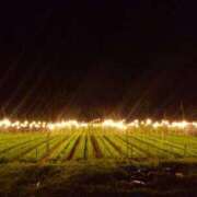 ヒメ日記 2025/11/22 20:03 投稿 まりも☆笑顔が素敵な素人♪ 五十路有閑マダム～沖縄店～