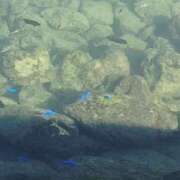 ヒメ日記 2025/12/08 17:33 投稿 まりも☆笑顔が素敵な素人♪ 五十路有閑マダム～沖縄店～