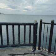 ヒメ日記 2026/01/25 12:03 投稿 まりも☆笑顔が素敵な素人♪ 五十路有閑マダム～沖縄店～