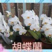 ヒメ日記 2026/02/01 14:03 投稿 まりも☆笑顔が素敵な素人♪ 五十路有閑マダム～沖縄店～