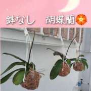 ヒメ日記 2026/02/01 15:03 投稿 まりも☆笑顔が素敵な素人♪ 五十路有閑マダム～沖縄店～