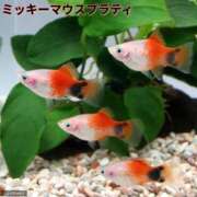 ヒメ日記 2026/03/21 11:57 投稿 まりも☆笑顔が素敵な素人♪ 五十路有閑マダム～沖縄店～