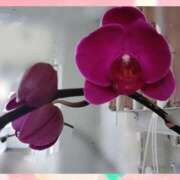 ヒメ日記 2026/03/25 20:33 投稿 まりも☆笑顔が素敵な素人♪ 五十路有閑マダム～沖縄店～